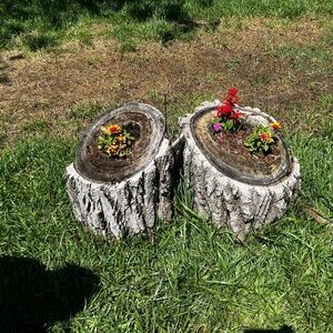 Meet your Posher, Heidi go seek